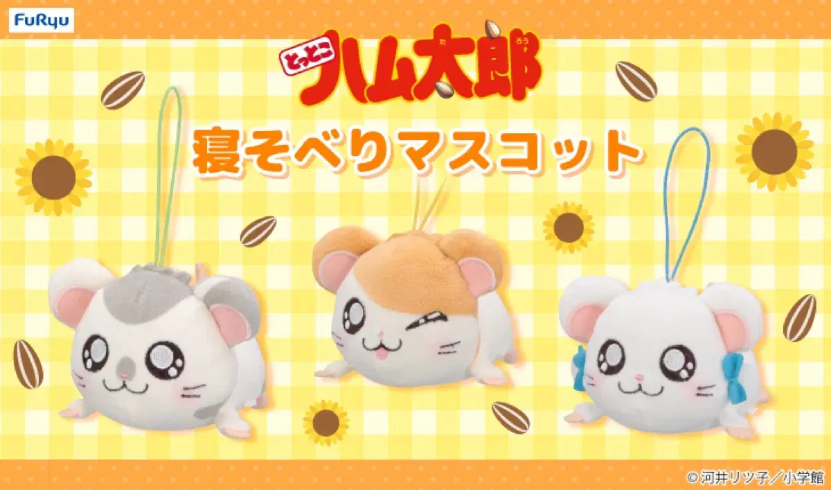 thumbnail-5